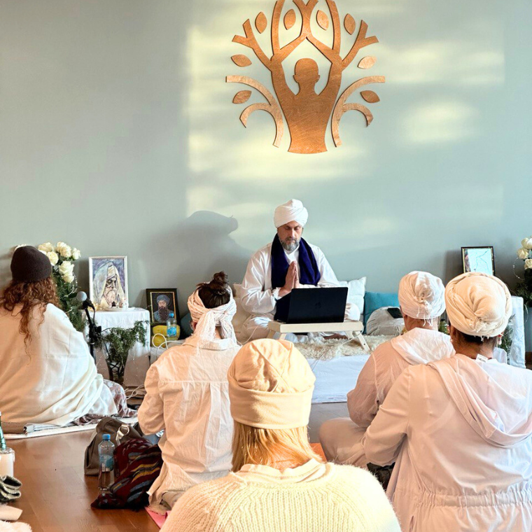 Фото ведущих курс